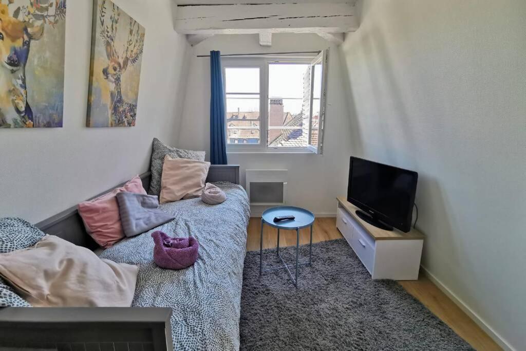** Appartement Cathedrale Strasbourg Centre** Exterior photo